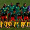 MS 2010: Kamerun - Dánsko