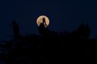 Miliony lidí po celém světě pozorovaly úplné zatmění Měsíce, delší už v tomto století neuvidíme