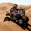 Rallye Dakar: Patronelli