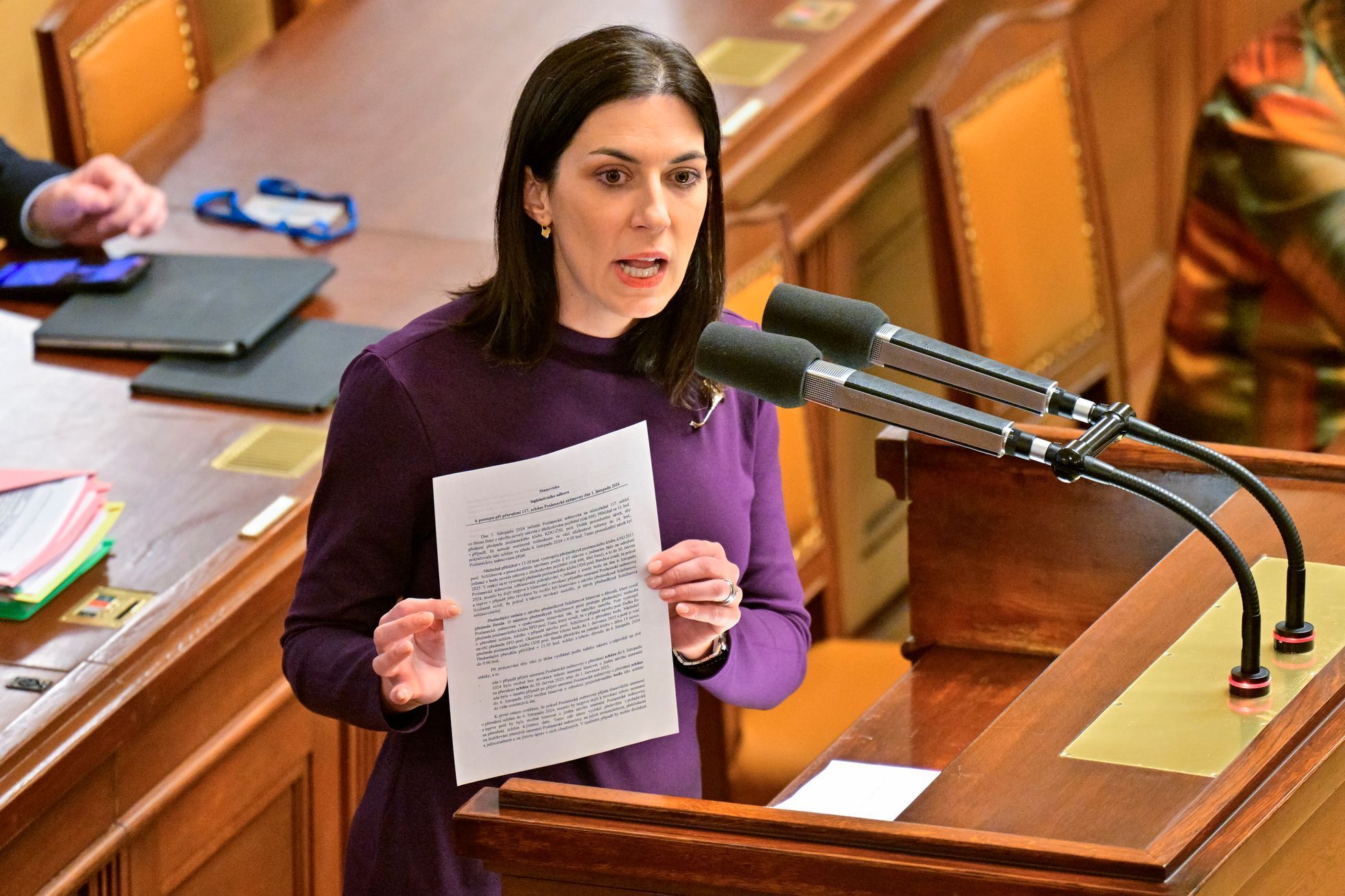 Markéta Pekarová Adamová, sněmovna