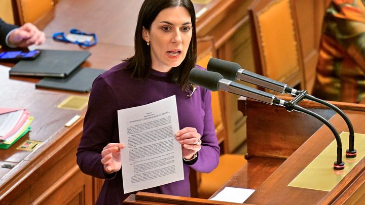 Snažím se být nestranná, řekla Pekarová. Podle Schillerové má funkci za neschopnost