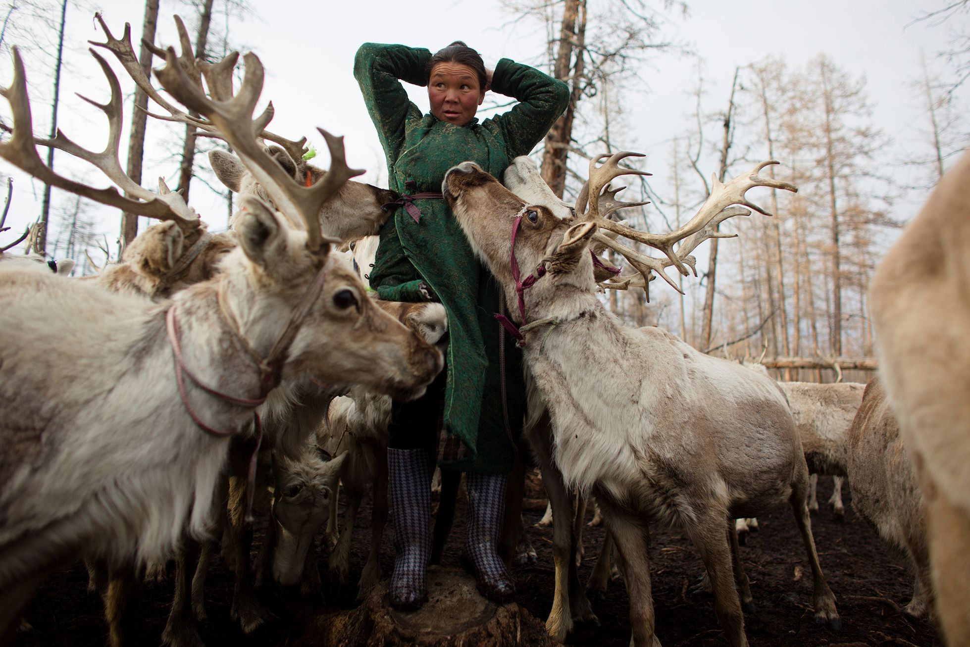 FOTOGALERIE / Život kočovných pastýřů v Mongolsku / Reuters / rok 2018 / 7