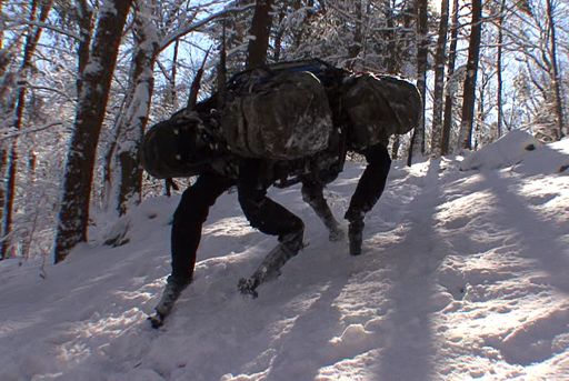 BigDog – Čtyřnohý robot byl vytvořen v roce 2005 za pomoci odborníků z NASA a Harvardské univerzity. Váží 110 kilogramů a slouží především jako podpůrná a zásobovací vojenská jednotka, která transportuje náklad až o váze 150 kilogramů. | Foto: boston dynamics