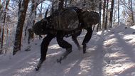 BigDog – Čtyřnohý robot byl vytvořen v roce 2005 za pomoci odborníků z NASA a Harvardské univerzity. Váží 110 kilogramů a slouží především jako podpůrná a zásobovací vojenská jednotka, která transportuje náklad až o váze 150 kilogramů.