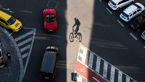 V galerii si můžete prohlédnout všechny snímky nominované v rámci soutěže Czech Press Photo na Grant Prahy.