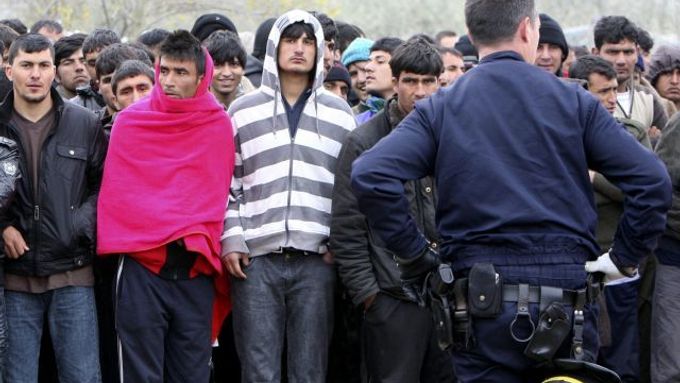 Policisté zadrželi v lesích kolem Calais na 150 lidí.