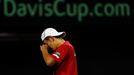 Japan's Ito reacts after losing a point against Czech Republic's Stepanek during their Davis Cup quarter-final tennis match in Tokyo