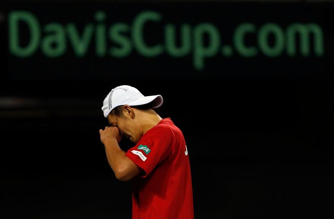 Japan's Ito reacts after losing a point against Czech Republic's Stepanek during their Davis Cup quarter-final tennis match in Tokyo