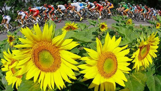 Jak zachytili sportovní události fotografové Reuters