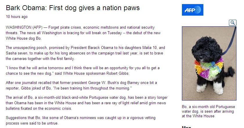 Bo Obama, portugalský vodní pes