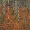 Gustav Klimt: Březový les