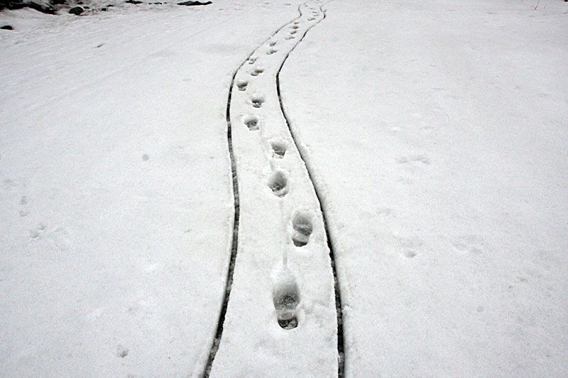 Horní Jiřetín