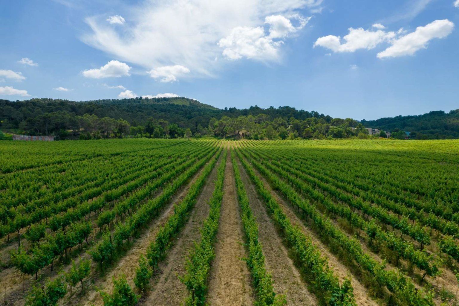 Château La Coste