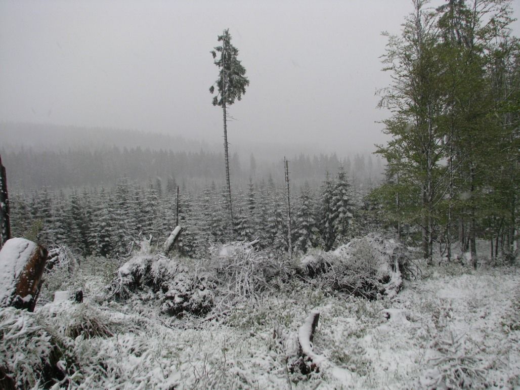 Zasněžená Šumava v květnu