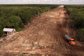 Mayský vlak na Yucatánu: Jedinečná džungle s jaguáry i pyramidami ustupuje železnici