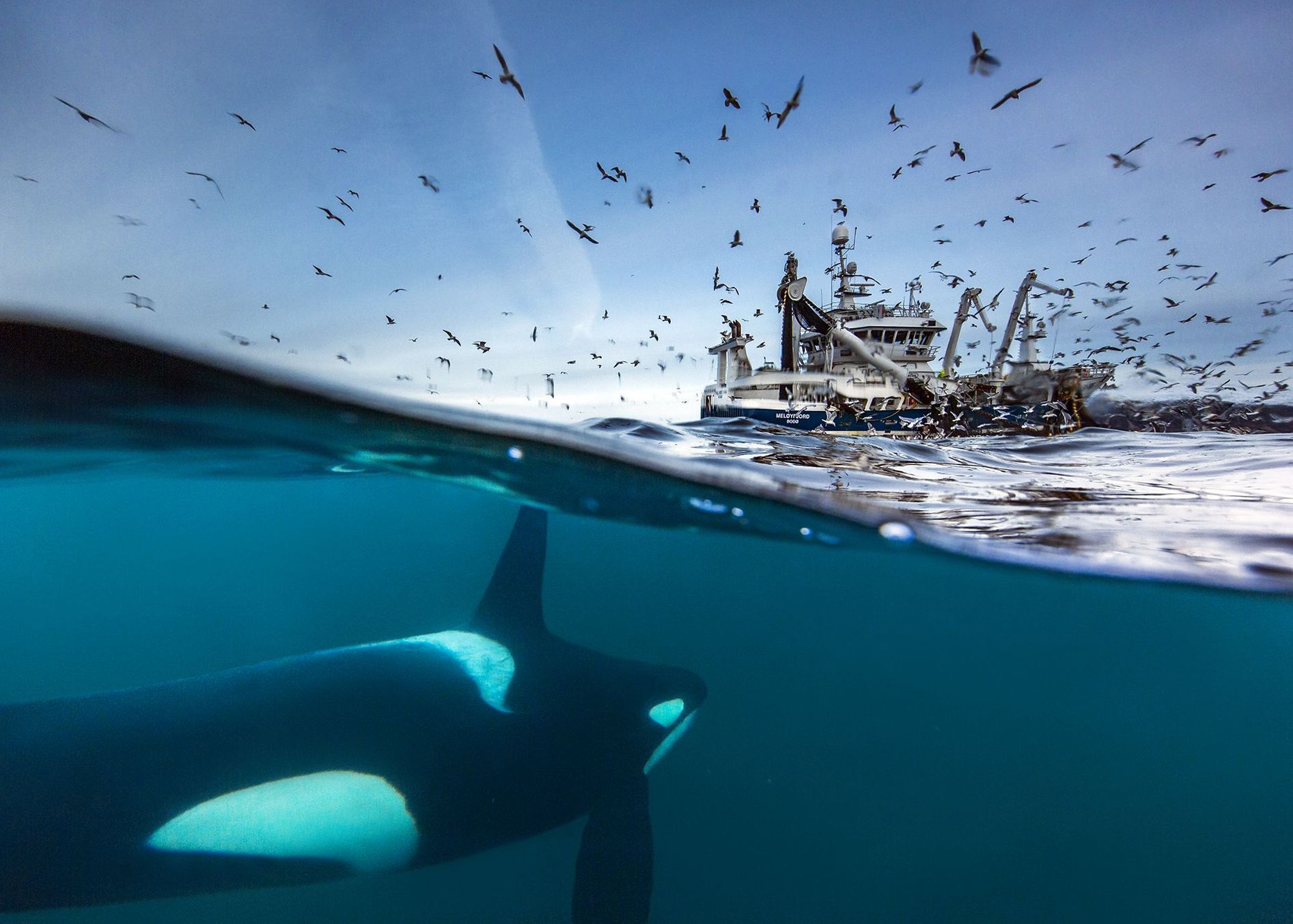 SIPA - fotosoutěž - fotoseriál