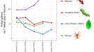 V lesech jižní Moravy je víc housenek než v tropech. Čeští vědci srovnávali počet hmyzu napříč třemi kontinenty