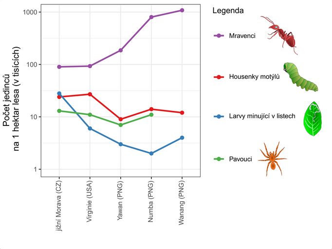 V lesech jižní Moravy je víc housenek než v tropech. Čeští vědci srovnávali počet hmyzu napříč třemi kontinenty