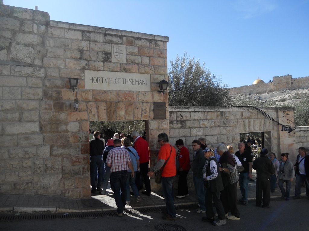Getsemanská zahrada, Jeruzalém, Izrael