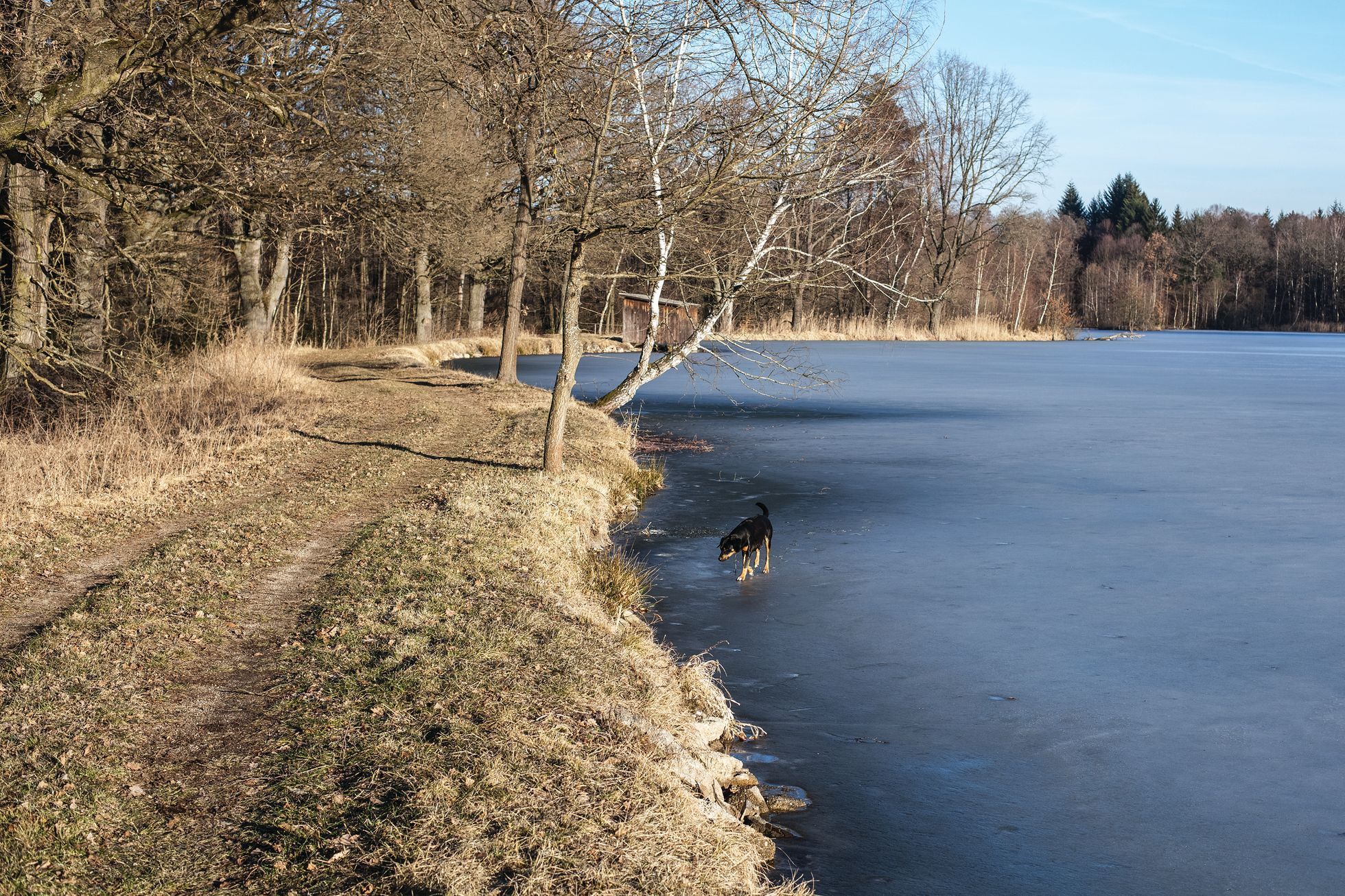 Aleš Palán, Samotáři 2