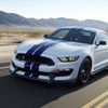 Ford Mustang Shelby GT 350