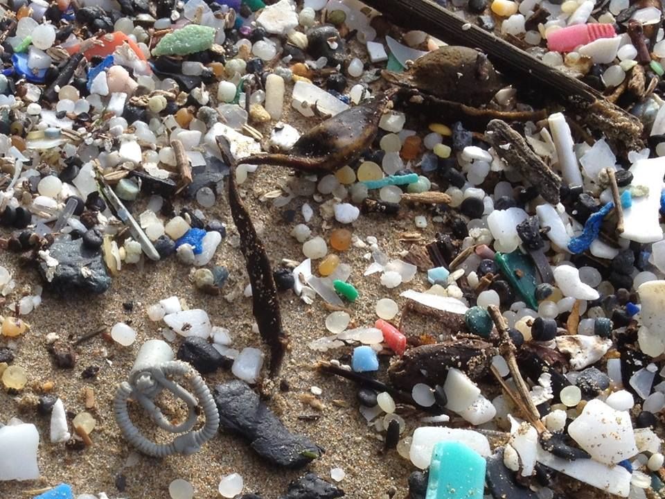 Moře vyplavuje hračky Lego