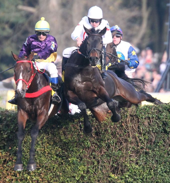 Velká pardubická 2015: Taxis - Orphee des Blins (Jan Faltejsek)