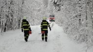 Hasiči muslei odstraňovat stromy a větve i ve Vysoké nad Labem.