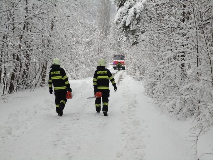 Hasiči muslei odstraňovat stromy a větve i ve Vysoké nad Labem.