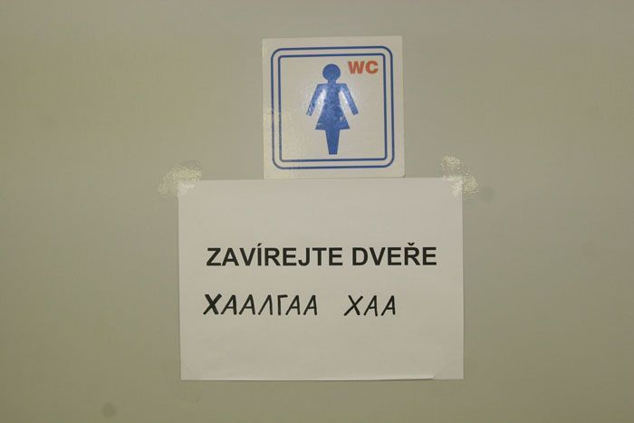 Mongolové v Česku