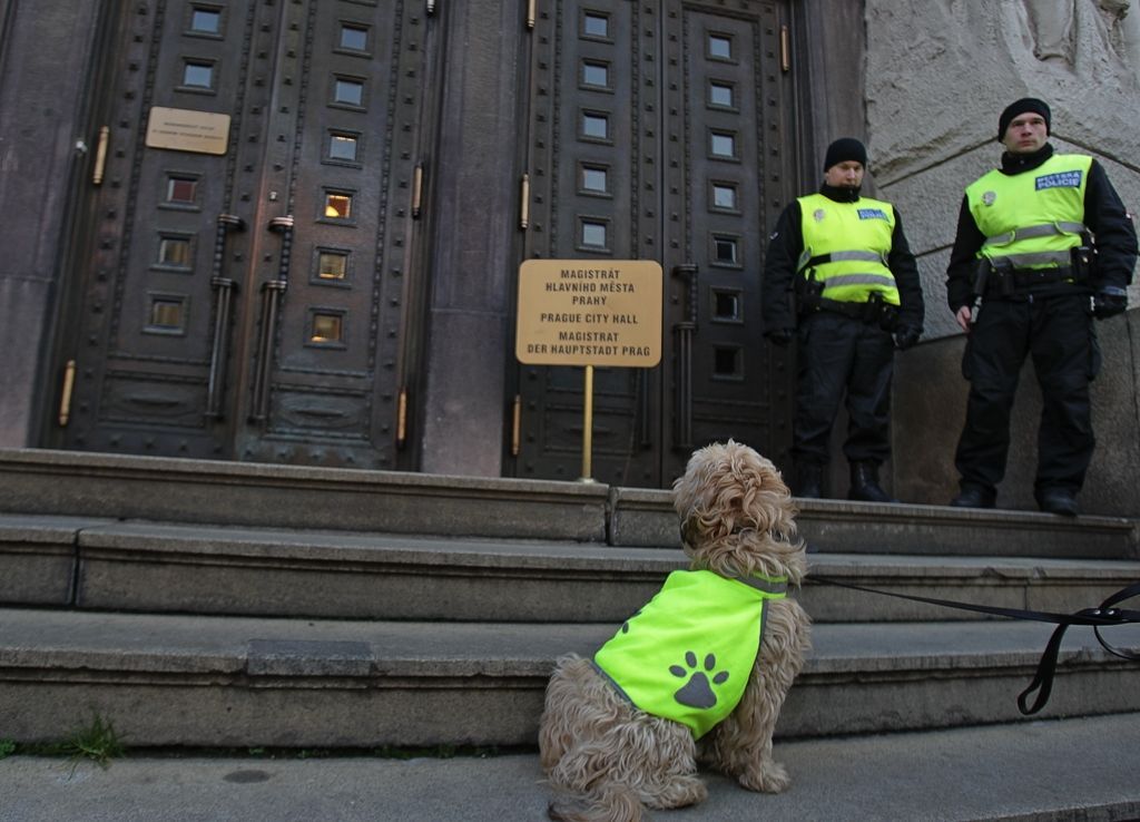 demonstrace proti solení chodníků