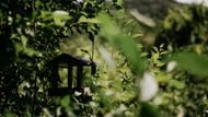 Že je její chatičku náročné nalézt, zřejmě dobře ví. Když totiž zamíří z hlavní cesty na malou pěšinku strmě stoupající do zarostlé stráně, přidá k dobru historku o tom, jak si v její chatce zaplatili ke konci zimy ubytování turisté z Malty.