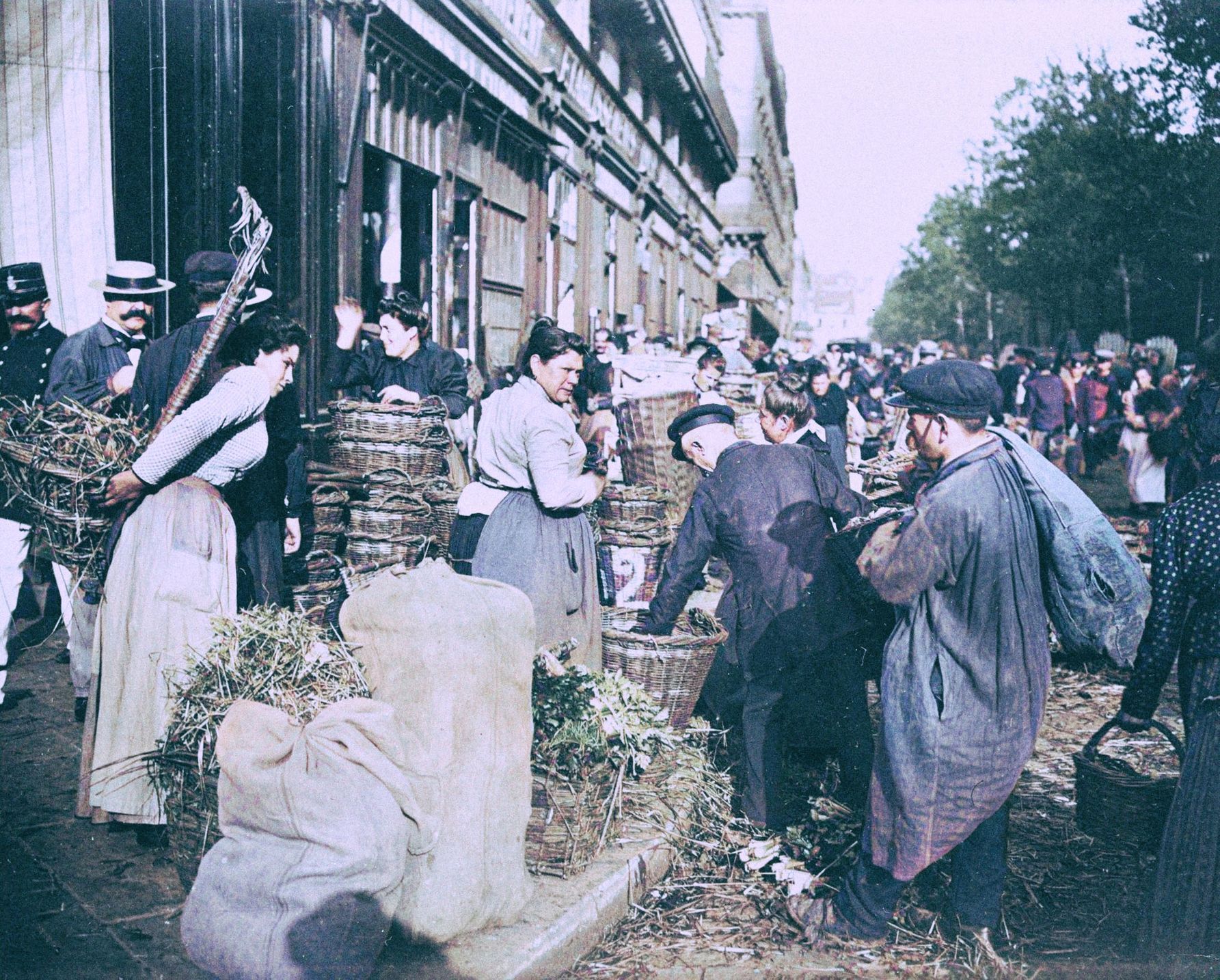 Jednorázové užití / Fotogalerie / Stará Paříž v barvě na málo známých snímcích