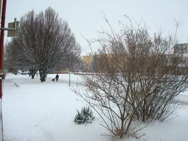 Sníh - Slaný