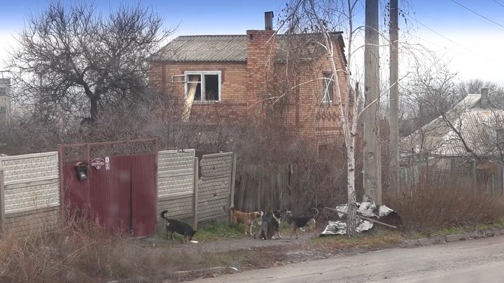 “Bylo to krásné město.” Ruská krutost eskaluje v nejhorší zóně války; Zdroj foto: Aktuálně.cz/Rádio Svobodná Evropa