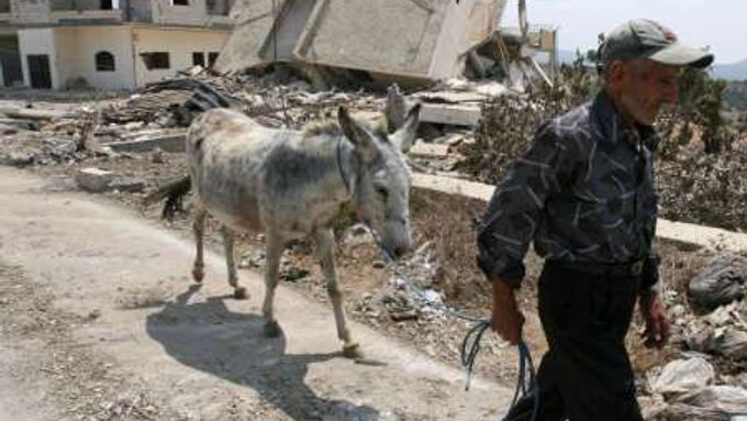 Libanonec vede svého osla ruinami domů, které se zhroutily po izraelském bombardování.