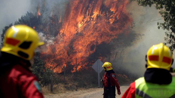 Nynější lesní požáry v Chile jsou jedny z vůbec nejhorších v historii země.