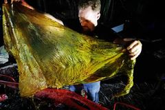 Mrtvá velryba měla v žaludku 40 kilo plastů. Nic podobného jsme neviděli, tvrdí vědci