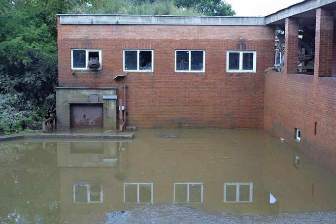 Další z zvířecích hrdinů povodní se stal hroší samec Slávek, který ale na rozdíl slona Kádira řádění vodního živlu přežil. Po celou dobu povodně zůstal Slávek v Pavilonu velkých savců a naštěstí nenašel otevřené dveře ven. Voda ho vynesla do návštěvnického prostoru a nakonec i na manipulační ochoz nad stájemi zvířat. Ve čtvrtek však Slávek zmizel. Přes usilovné a často krkolomné pátrání ho nikdo v pavilonu nenašel a všichni ho považovali za ztraceného. O to větší bylo překvapení, když dva dobrovolní záchranáři vylámali otvor v kovových dveřích na ochozu pavilonu a zjistili, že Slávek uvíznul na zcela nečekaném místě. Při velké vodě zřejmě plaval v celém prostoru pavilonu a zamířil i nad stání slonů. U stropu je tam ochoz pro personál, a právě za jeho hrazením Slávek po opadnutí vody zůstal. V pátek se Slávek dostal do opačné části pavilonu, na ochoz nad bývalou expozicí nosorožců.