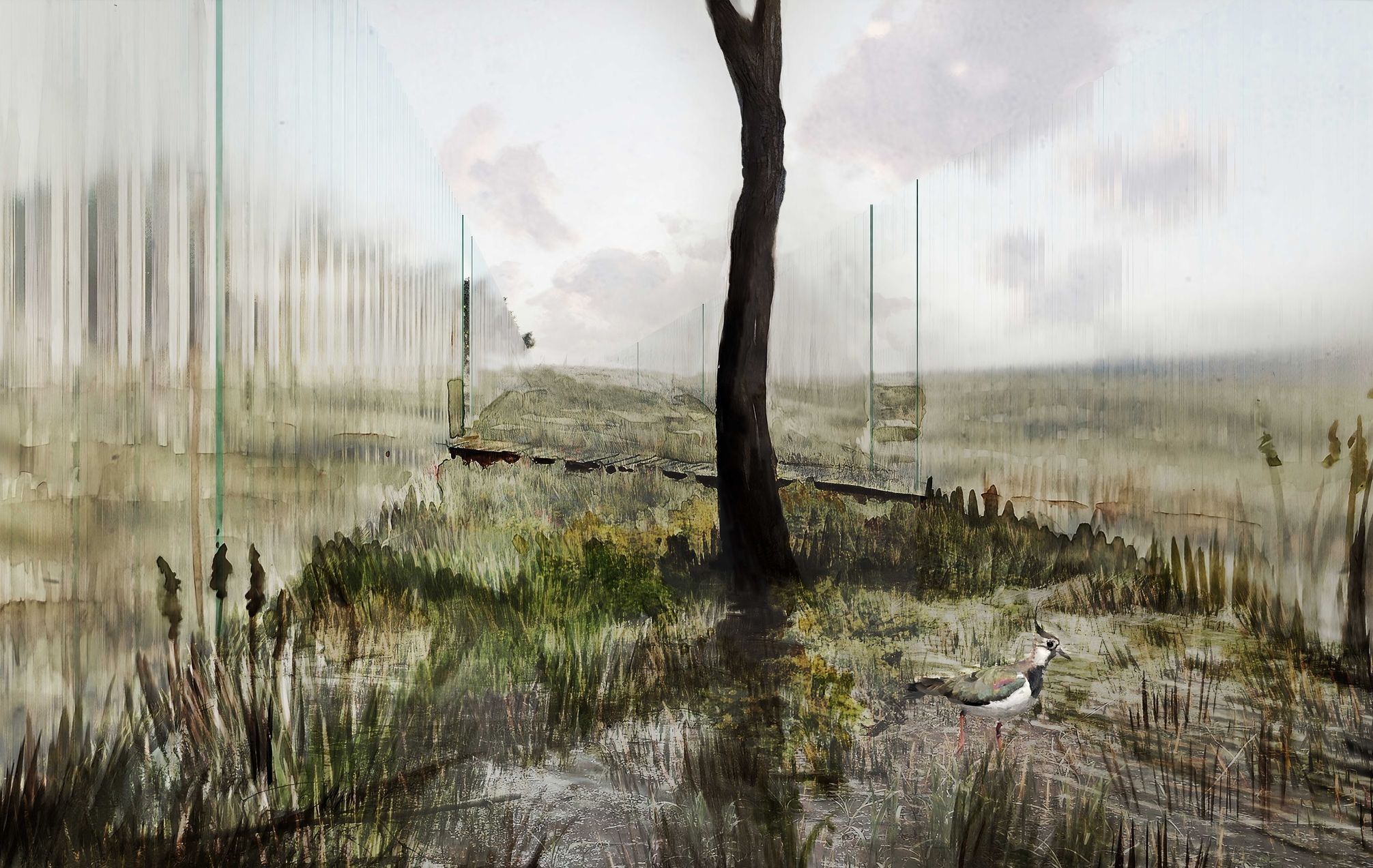 Obrazy z projektu pietních biocenter od architektky Blanky Solár