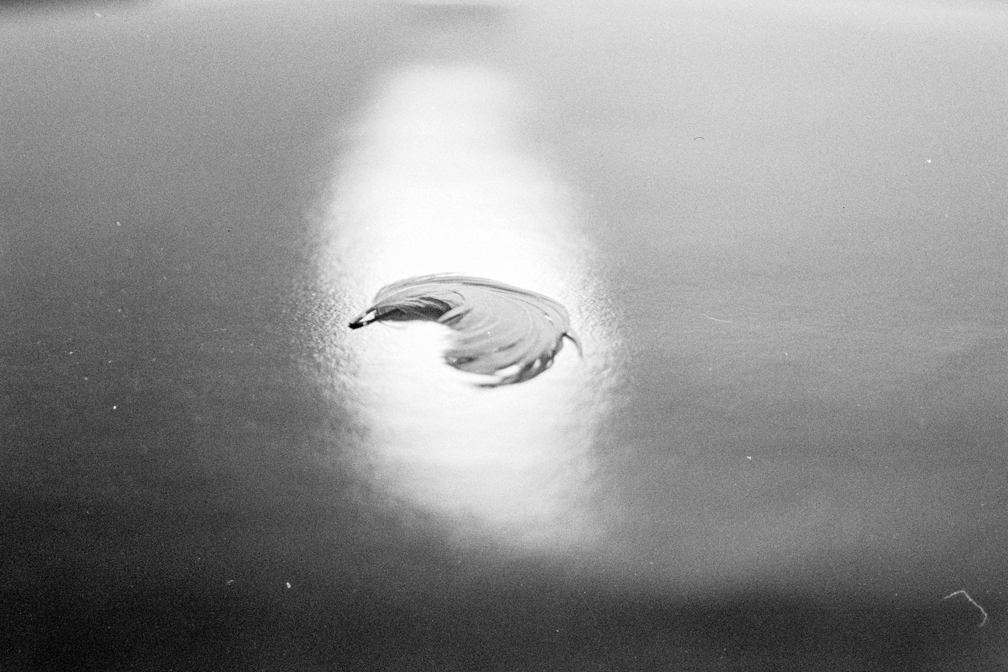 Fotogalerie / Otakar Matušek / Zemřel ostravský fotograf Otakar Matušek