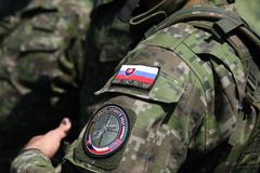 Slovensko zavede dobrovolnou vojenskou službu. Absolvuje ji na 150 lidí ročně