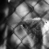 Week of Life - Jan Vrba - 2.7.12 - 4