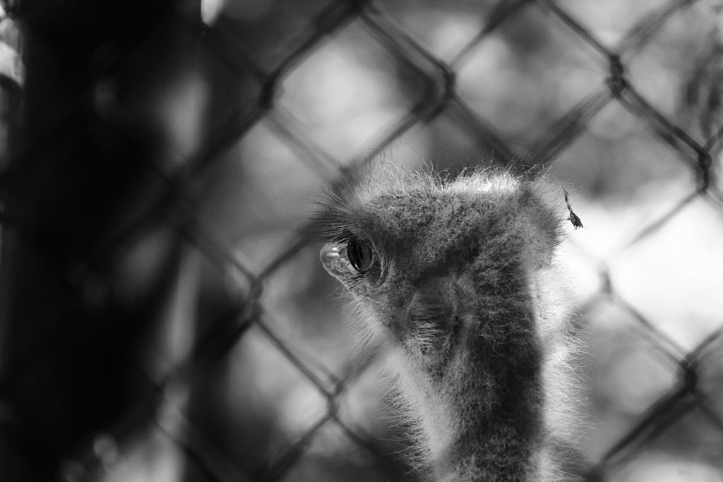 Week of Life - Jan Vrba - 2.7.12 - 4