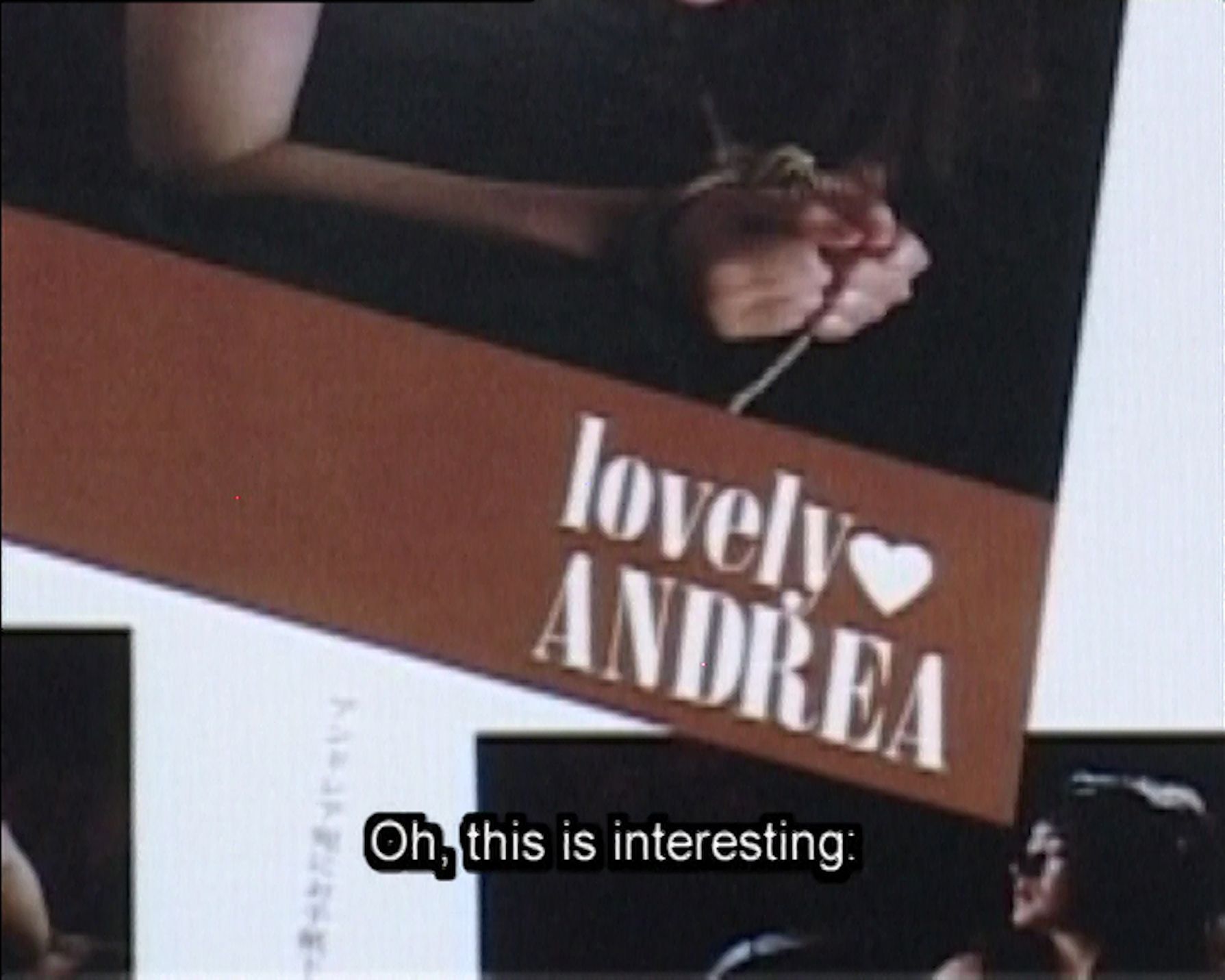 Hito Steyerlová: Lovely Andrea