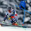 MS ve sjezdovém lyžování 2013, super-G muži: Andrew Weibrecht