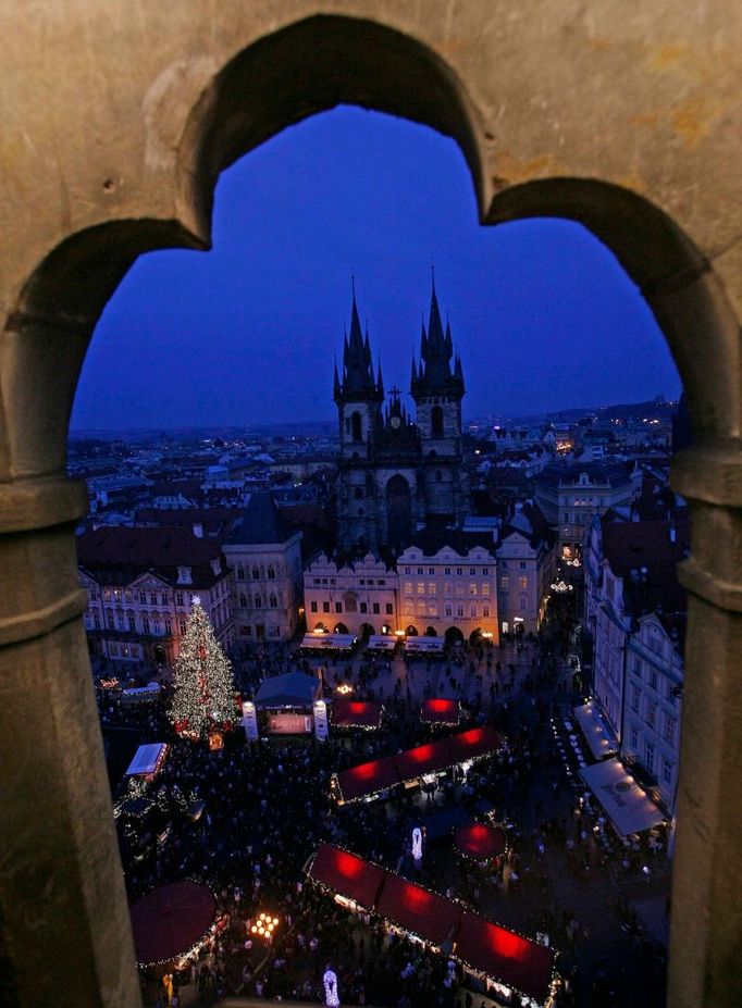 Výběru stromu se věnuje velká pozornost a dendrologové jej podrobují řadě zkoušek. Musí být hezky rostlý, ale především zdravý a dobře dostupný pro techniku. Letošní strom rostl blízko koryta Labe a bylo by jej stejně nutné pokácet.