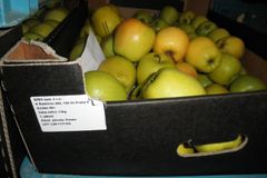 Jedovatá polská jablka posedmé. Inspektoři našli tuny jablek se zakázaným pesticidem