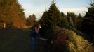 A worker uses a chainsaw to make final cuts to a Christmas tree before it is bailed for shipping the Omni Farm in West Jefferson, North Carolina, November 17, 2012. Crews at the farm will harvest nearly 20,000 Christmas trees this season. North Carolina has 1,500 Christmas tree growers with nearly 50 million Fraser Fir Christmas trees on over 35,000 acres. Picture taken November 17, 2012. REUTERS/Chris Keane (UNITED STATES - Tags: BUSINESS EMPLOYMENT ENVIRONMENT AGRICULTURE SOCIETY) Published: Lis. 19, 2012, 4:18 odp.