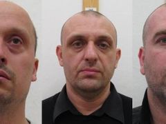 Five arrested men